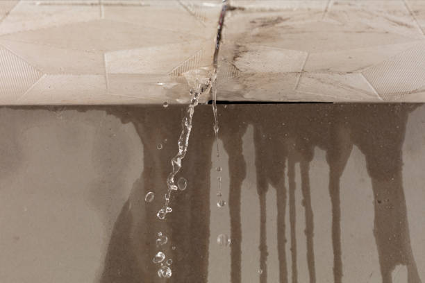 Professional Sewage Cleanup technician working in New Lothrop, MI